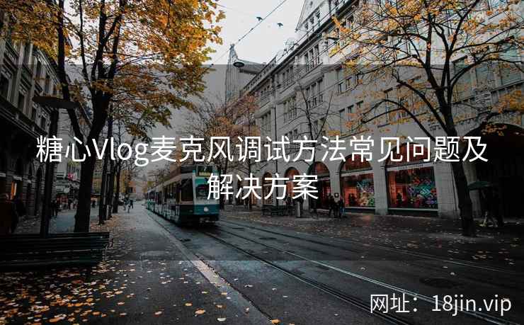 糖心Vlog麦克风调试方法常见问题及解决方案